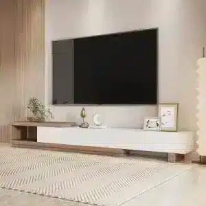 هايز وحدة تلفزيون