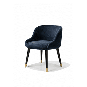 Earo Dining Chair